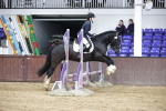 SBM_000959