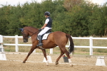 SBM_010609