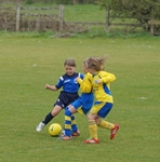 DSC00268