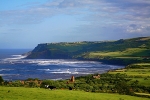 CS221  COWS, ROBIN HOOD'S BAY