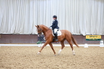 SBM_022131