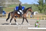BPP_8495