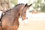 SBM_07559