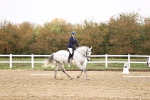 SBM_001819