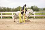 SBM_008741
