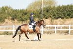 SBM_017323