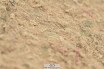 230611A-134920-06201
