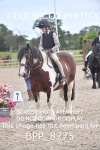 BPP_8775