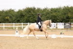 SBM_000825