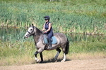 WJ7_8129