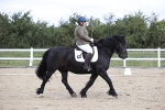 SBM_016732