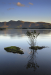 Reflections, Derwent Water - Cumbria