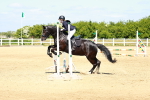 SBM_007441