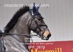 BPP_3878
