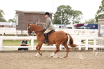 SBM_02921