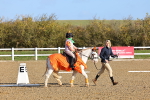 SBM_000295