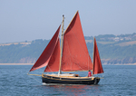 130717 GUILLEMOT WT7A2486