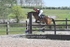 BPP_1794