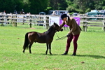 SBM_03605