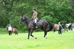 WJ7_4115