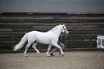 SBM_004063