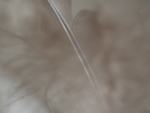 P3160053