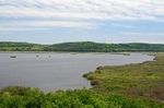 Lake Srebarna, Silistra Province, Bulgaria