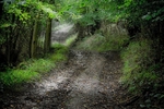 Crooked Path