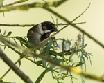 20110425-IMG_5084