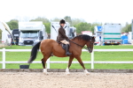 SBM_01828