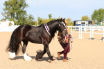 SBM_17038