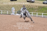 BPP_7952