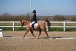 SBM_001171