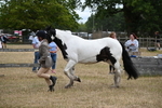 WJ6_8384