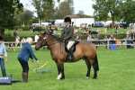 SBM_46862
