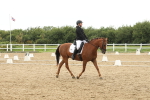 SBM_009610
