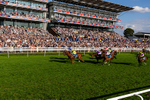 Race 7 17.20pm Sky Bet Dav Reid Finale Handicap portfolio