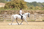 SBM_002884