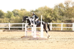 SBM_000627