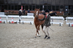 SBM_003939