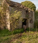 Ball Stone Quarry and donkey