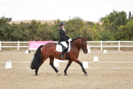 SBM_018221