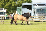 SBM_00793