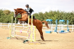 SBM_026990
