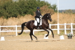 SBM_008530