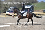 BPP_9265