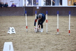 SBM_006191