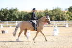 SBM_012495
