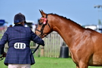 SBM_00974
