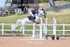 BPP_6534
